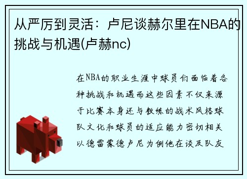 从严厉到灵活：卢尼谈赫尔里在NBA的挑战与机遇(卢赫nc)