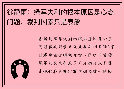 徐静雨：绿军失利的根本原因是心态问题，裁判因素只是表象